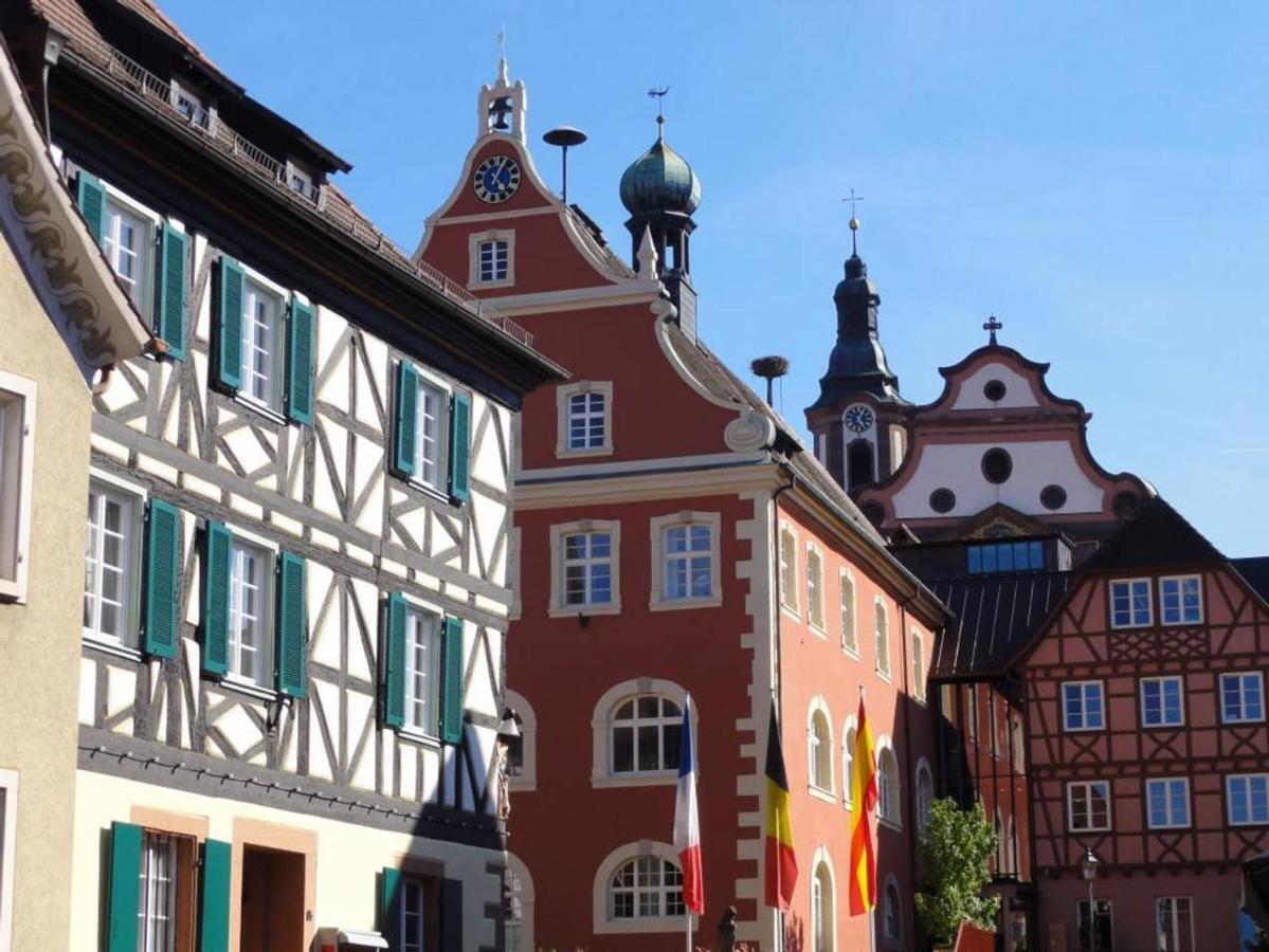 Perfekt Fuer Familien Und Gruppen Nur 10Min Vom Europapark - W6 Apartment Ettenheim Exterior photo